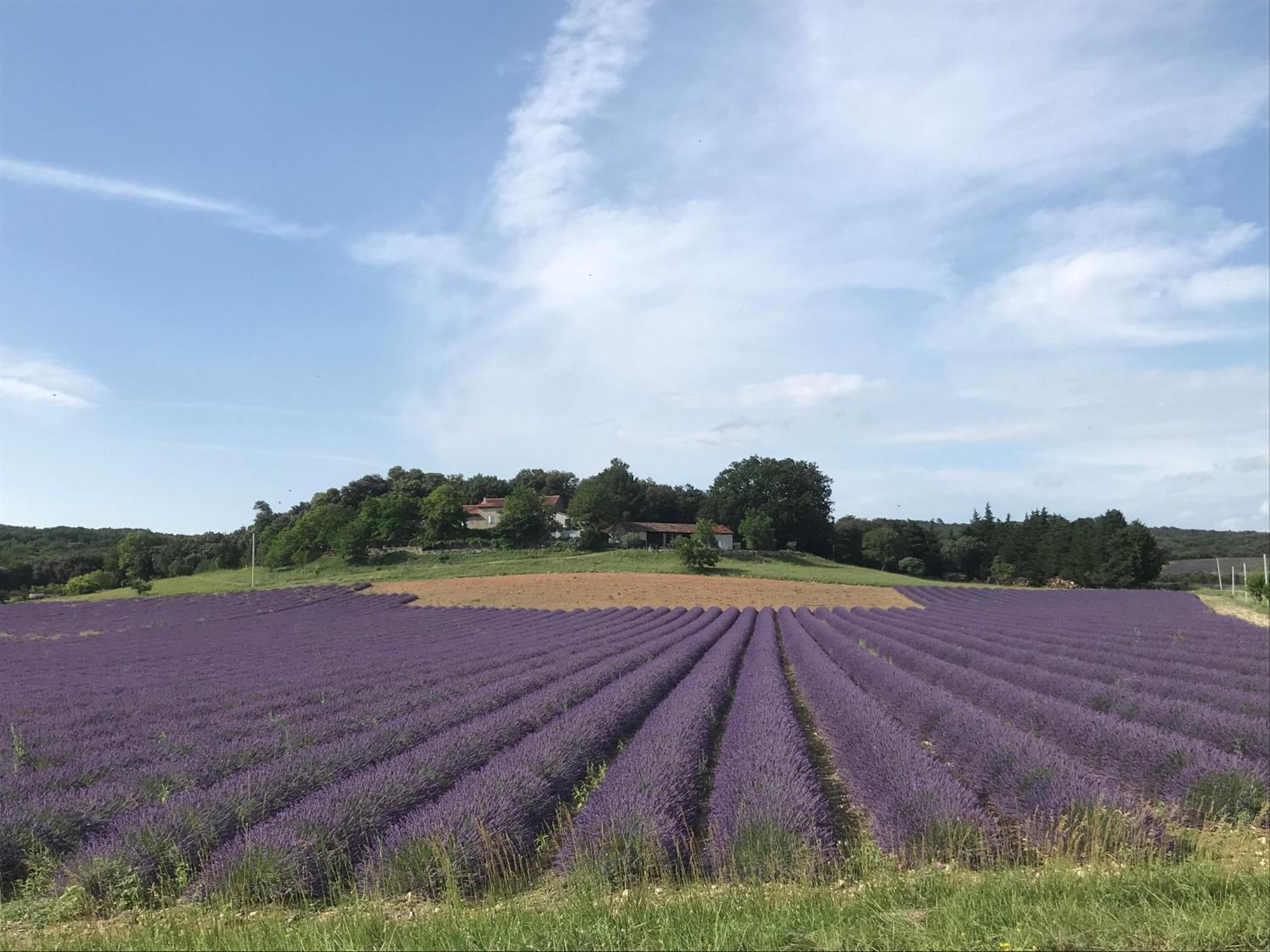 Apartmán Le Figuier Tulette Exteriér fotografie